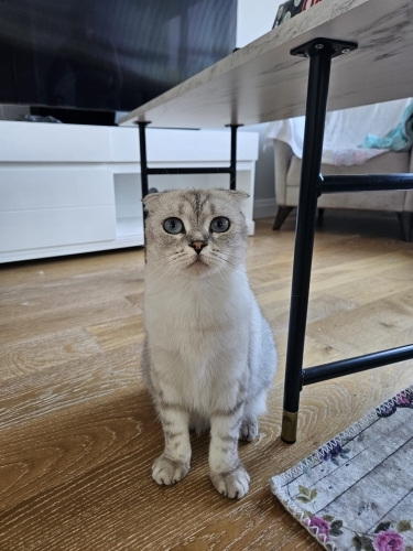 Sevgi dolu yuvasını arıyor fotoğraf