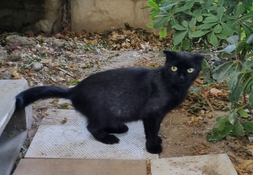 Şirin kıza yuva fotoğraf
