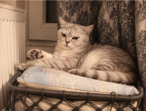 Sokakta Bulundu fotoğraf