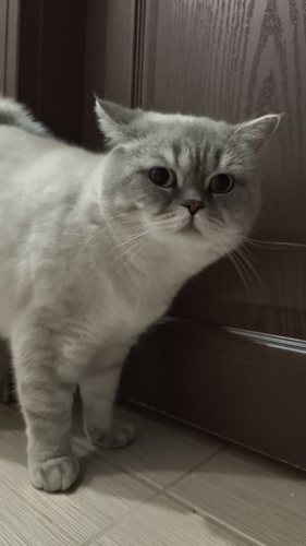 Baba&oğul yeni yuvasını arıyor fotoğraf