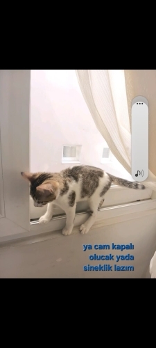 İZMİR 2 KARDEŞ SOKAĞA GİDECEKLER EVDE DOĞUP BÜYÜDÜLER fotoğraf