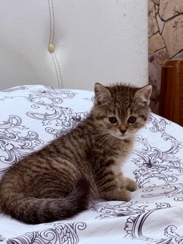 Lütfen sonuna kadar okuyun …. fotoğraf