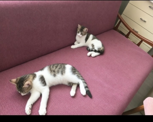 Çok az Vaktimiz kaldı fotoğraf