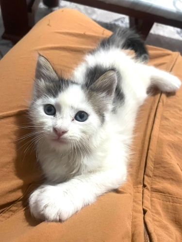 Ilayda’ya ömürlük yuva fotoğraf