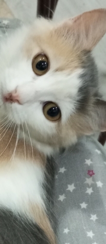 Bu bebise asik olacaksiniz fotoğraf