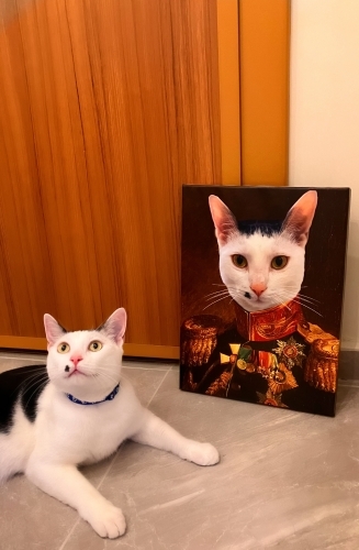 Kısır,ısırma tırmalama bilmeyen uslu çocuğa yuva fotoğraf