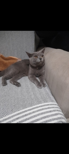 Sokağa atılmış çok tatli fotoğraf