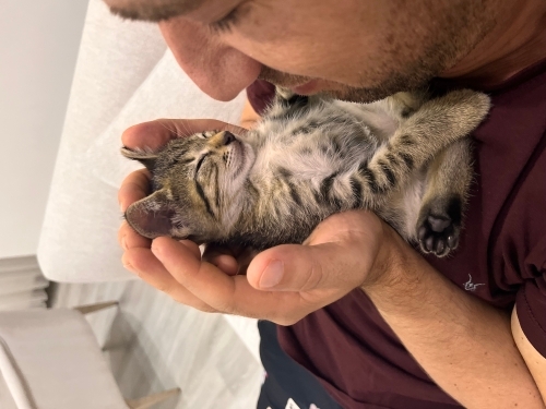 Çok cana yakın ve tuvalet eğitimi var fotoğraf
