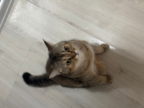 Oğlumuz çok sevimli ve akıllıdır fotoğraf
