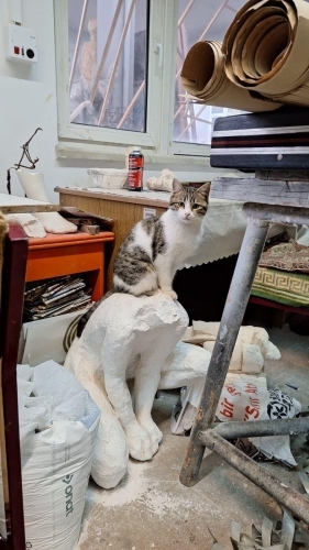 KAKULE KALICI YUVASINI ARIYOR fotoğraf