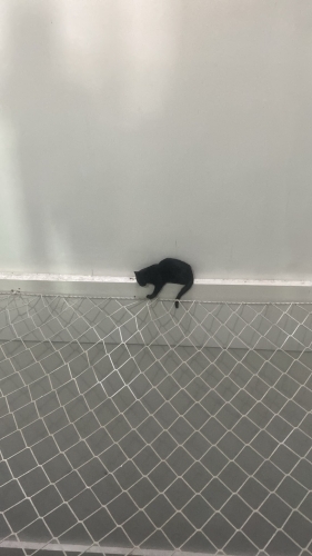 Kalbi güzel ailesi seni bekliyor. Bilinmeze gitmeden uzat elini fotoğraf