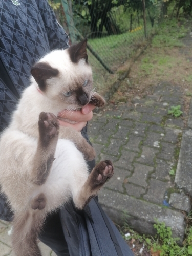 Acil yuva ve yardım fotoğraf