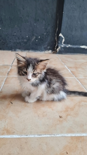 Sevimli oğlumuza ömürlük yuva fotoğraf