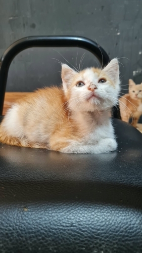 Sevimli oğlumuza ömürlük yuva fotoğraf