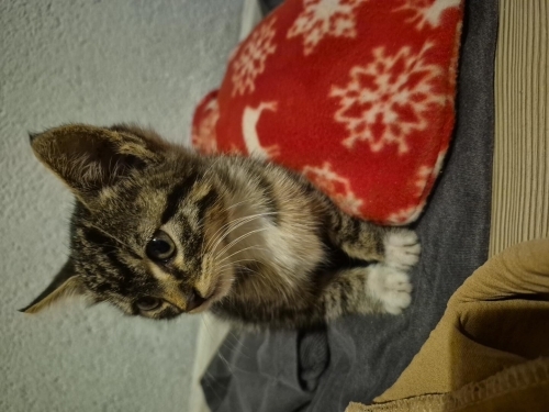 Sokakta yapamaz fotoğraf