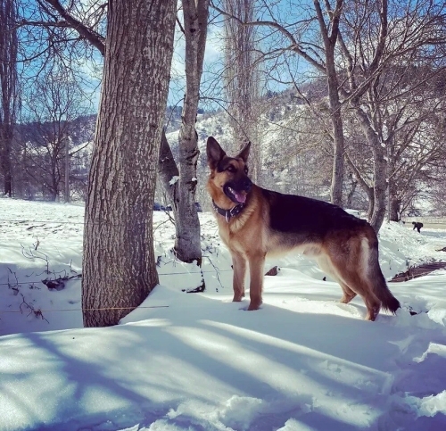 Özel eğitmli kadınlar ve çocuk koruma fotoğraf