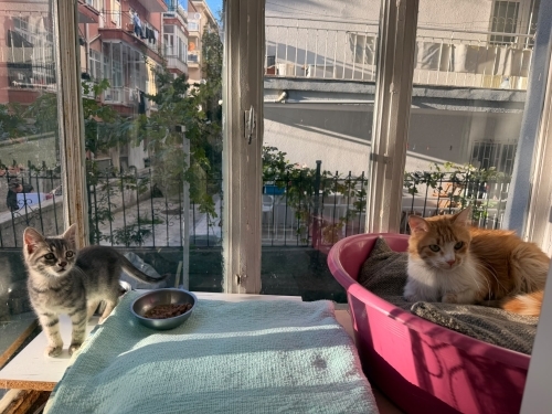 Gofret ıle boncuk fotoğraf