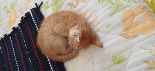 Sevgi dolu yuva fotoğraf