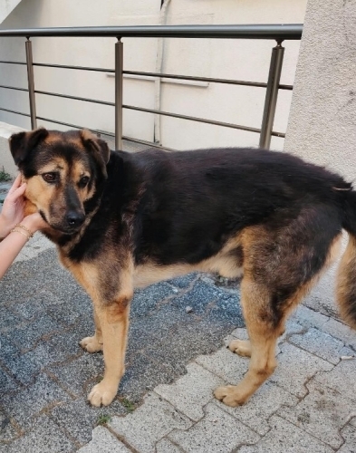 ONUN DA SICAK Bİ YUVASI OLSUN fotoğraf