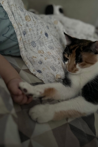 Çok tatlı oyuncu bir kız fotoğraf