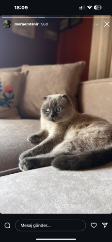 Çocuk sevmiyor :) fotoğraf