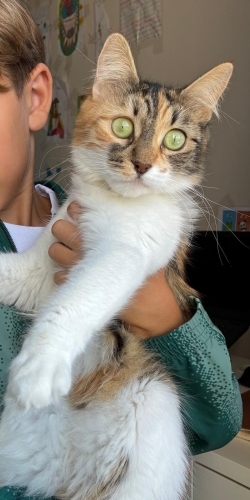 Sevilirken Ağzı Sulanan Sevgi Arsızı Bir Kız fotoğraf