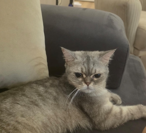Sevecen Temas Seviyor fotoğraf