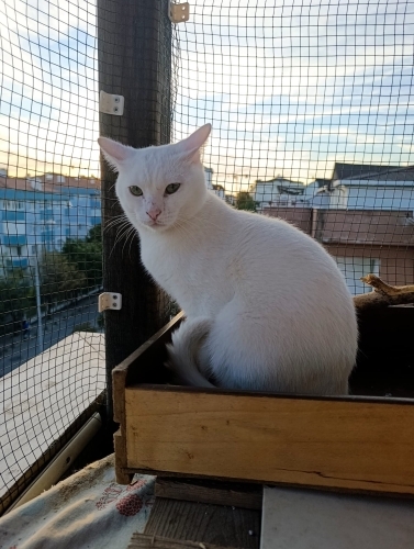 Kar beyazı oglumuza ömürlük yuva fotoğraf