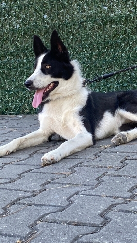 Güzel kızıma ücretsiz yuva fotoğraf