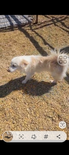 Acil yuva arıyorum fotoğraf