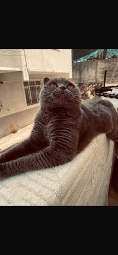 Hastalığım nedeniyle oğluma yuva fotoğraf