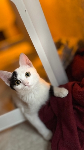 Hayata Tutunan Minik Kız fotoğraf