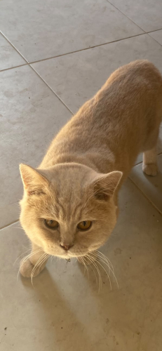 Bana yuva olurmusunuz fotoğraf
