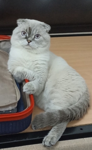 Sıcakkanlı Paşazade fotoğraf