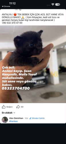 Süt anne veya gönüllü bakıcı acil /Konyaaltı fotoğraf