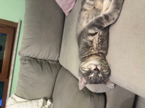 Sevgi bağımlısı oyuncu ve çok zeki fotoğraf
