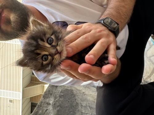Avuç içi kadar bebeğimize yuva fotoğraf