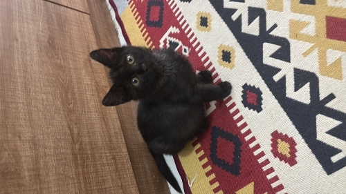 Benim için Yuva olmasanda paylaşım yapar mısınız fotoğraf