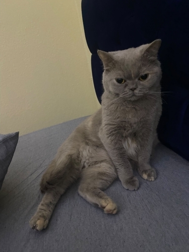 Küçük tatli bir kız fotoğraf
