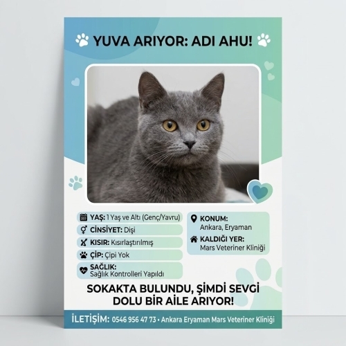 KALICI VEYA GEÇİÇİ ACİL YUVA fotoğraf
