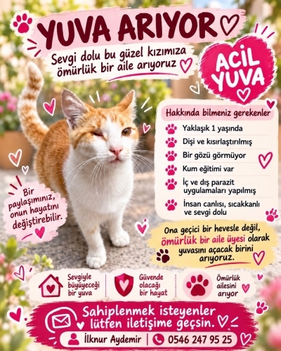 Oyuncu kız Bella fotoğraf