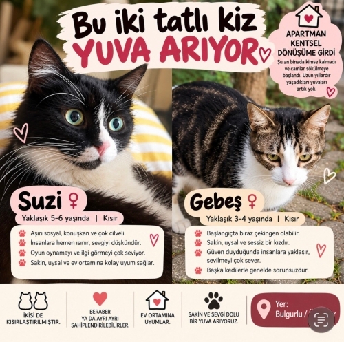 Kentsel dönüşüme giren apartmanın bahçesinde bekliyorlar. fotoğraf