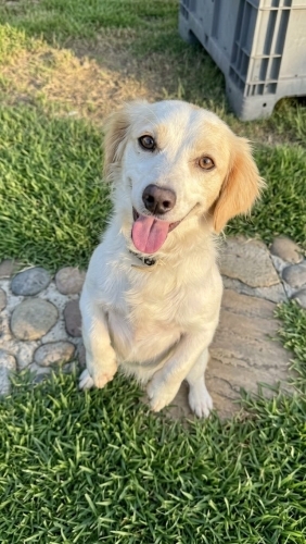 Sarı kızımıza yuva fotoğraf