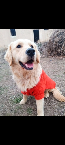 Güzel oğlumaaa Çakime bahçeli ev fotoğraf