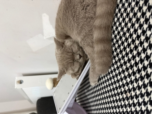 Masum bebeğime kalıcı yuva💕 fotoğraf