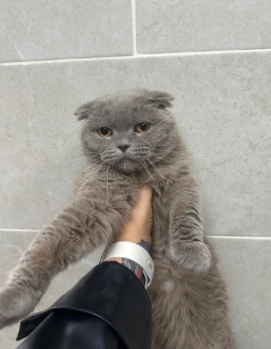 Güzellik ömürlük yuvasını arıyor😍 fotoğraf