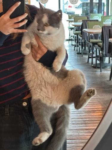 Milkaya sıcak bir yuva fotoğraf