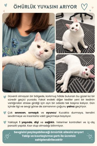 Peri Kızı Ömürlük Ailesini Arıyor fotoğraf