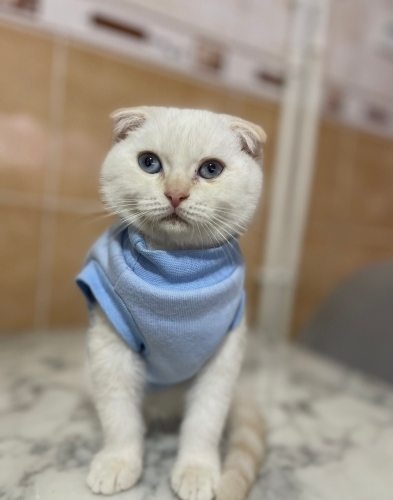 Bulutumuza yuva fotoğraf