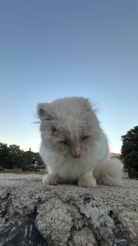 defalarca terk edildi fotoğraf